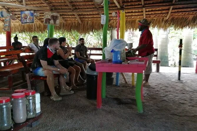 Buggies Kayos – Dobles y Familiares - 2