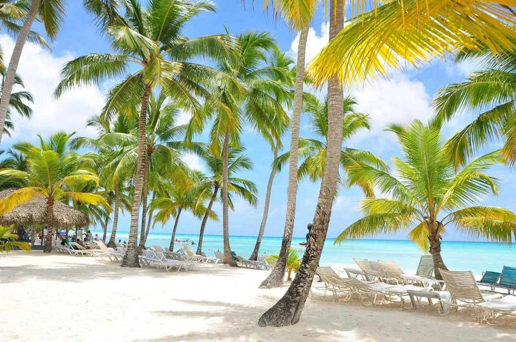Isla Saona Clásica - 4