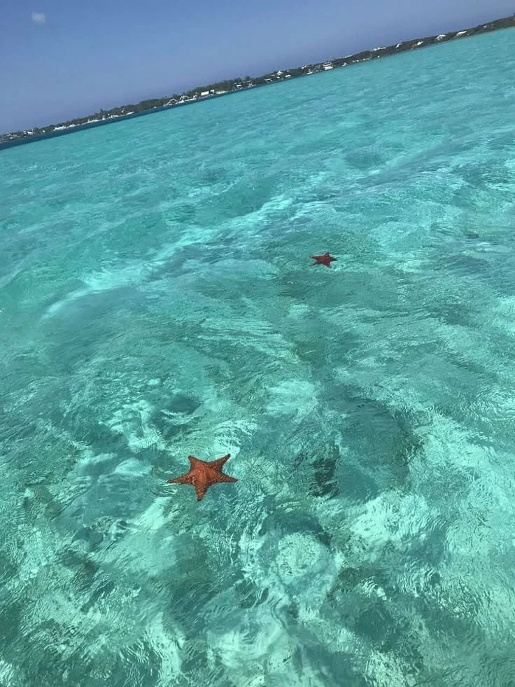 Isla Saona VIP Cuatro Playas - 9