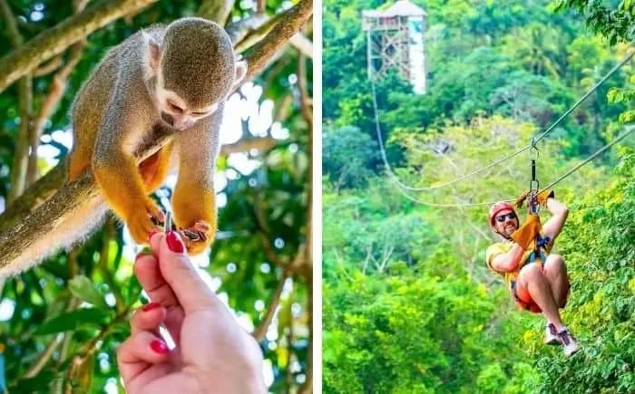Monkeyland Punta Cana - 2