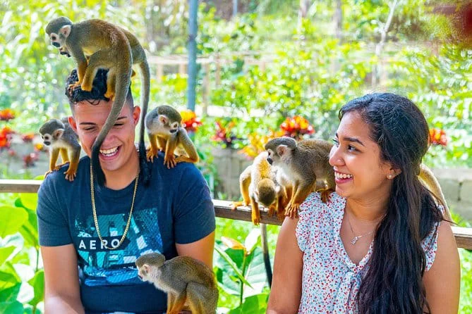 Monkeyland Punta Cana - 9