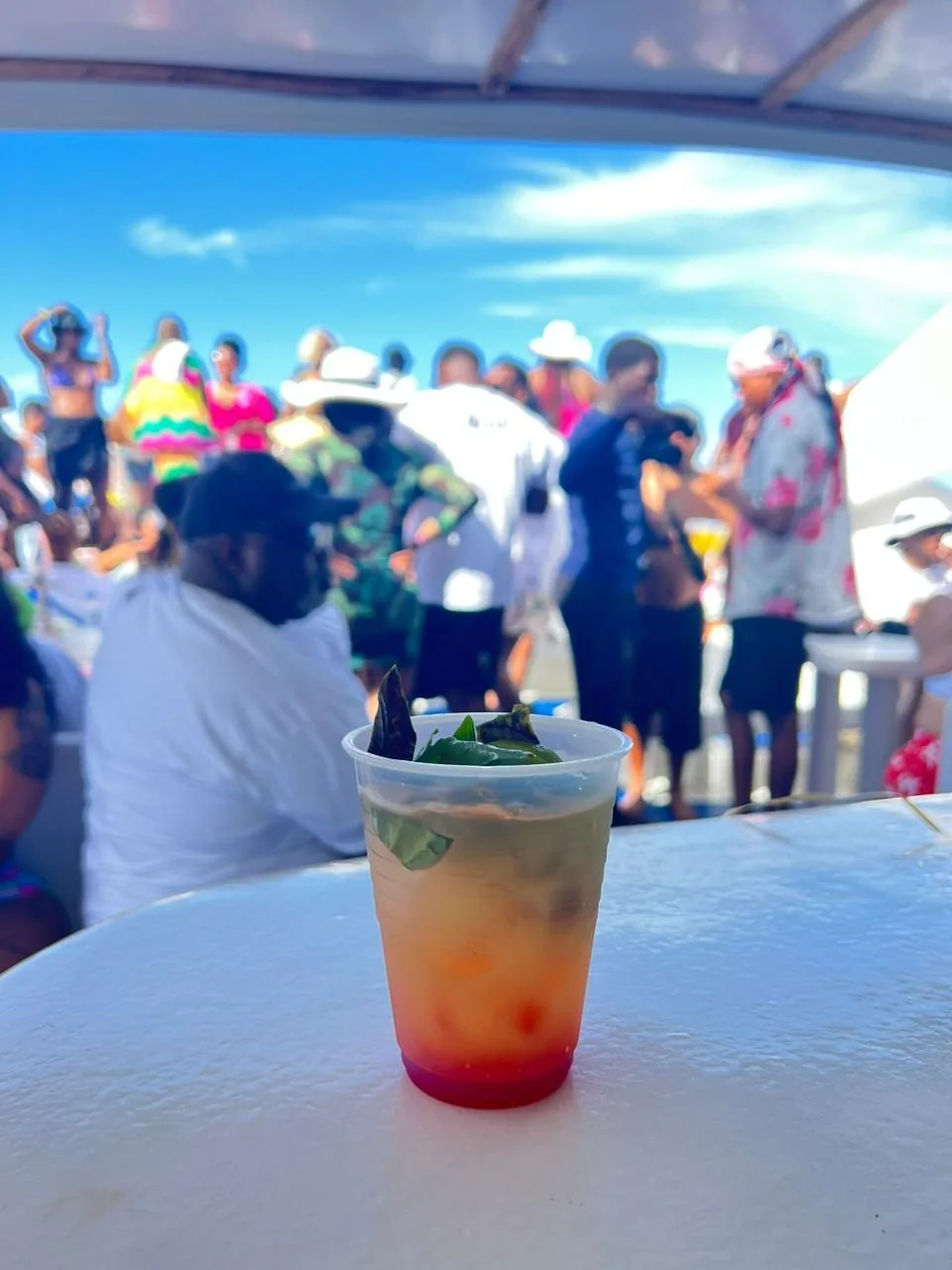 Party Boat Punta Cana - 3