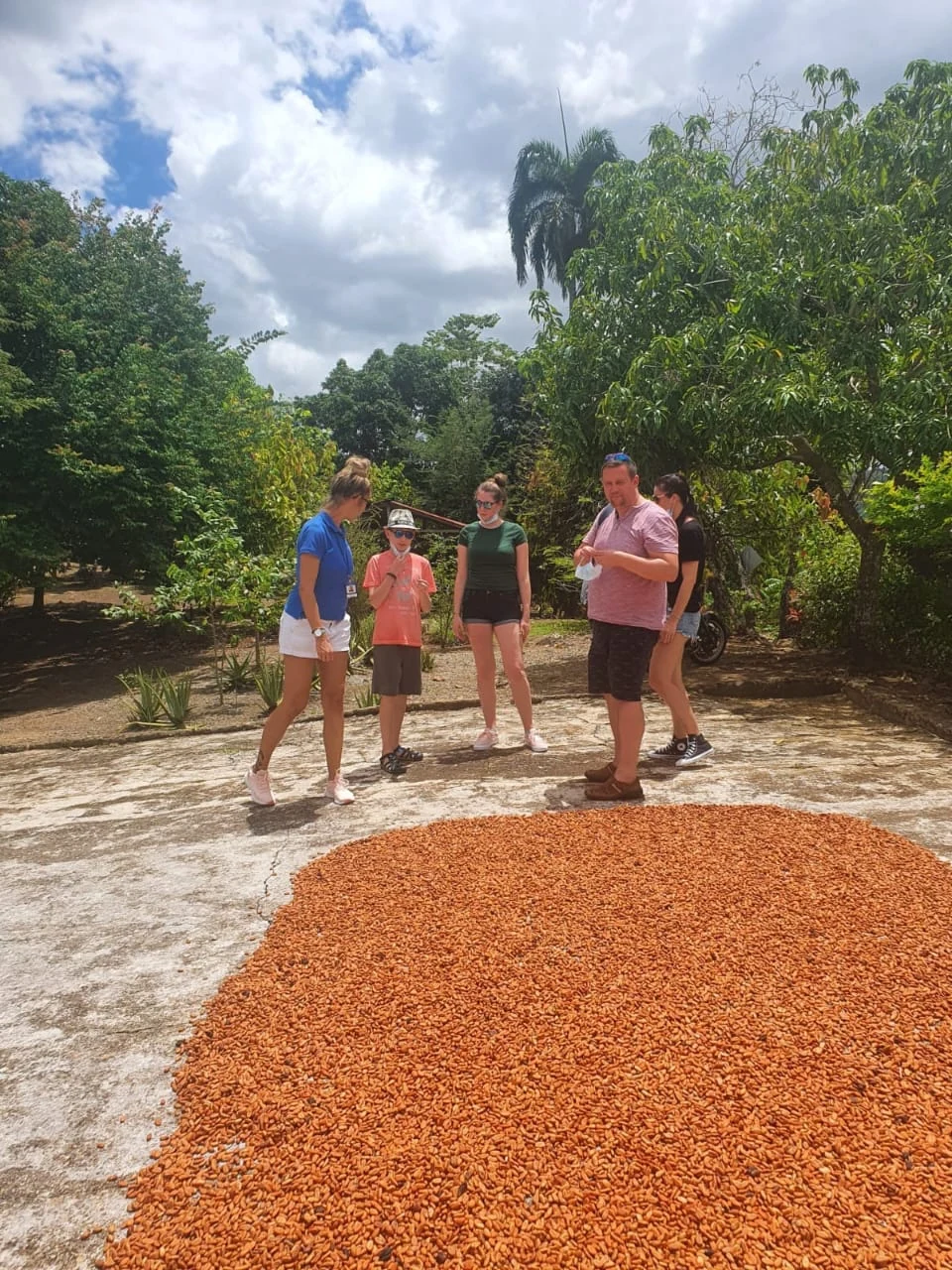 Safari Eco Tours – Grupal - 12
